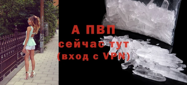 индика Осинники