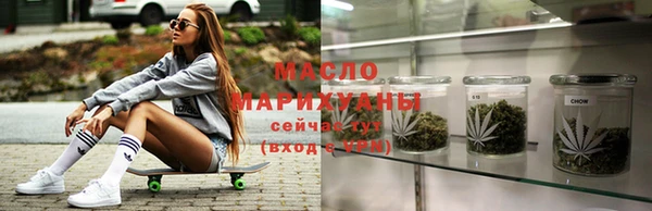 индика Осинники