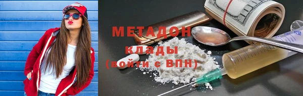 индика Осинники