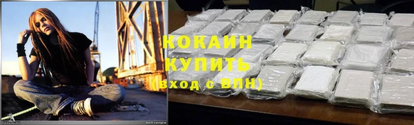 индика Осинники