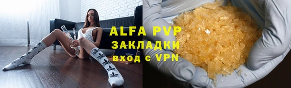 индика Осинники