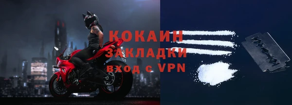 индика Осинники