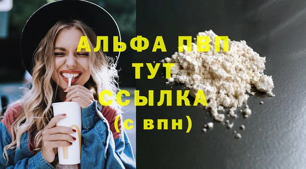 индика Осинники