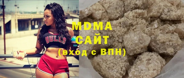 индика Осинники