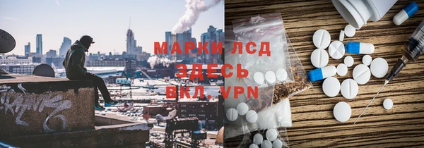 индика Осинники