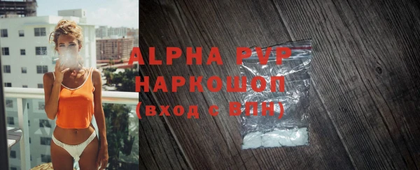 индика Осинники