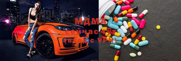 индика Осинники