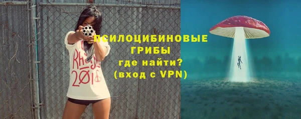 винт Осташков