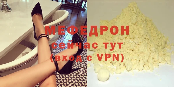 индика Осинники