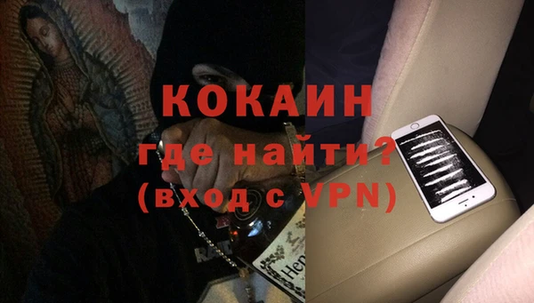 индика Осинники