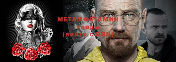 индика Осинники