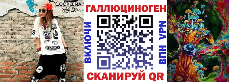 купить   Пудож  Галлюциногенные грибы Psilocybine cubensis 